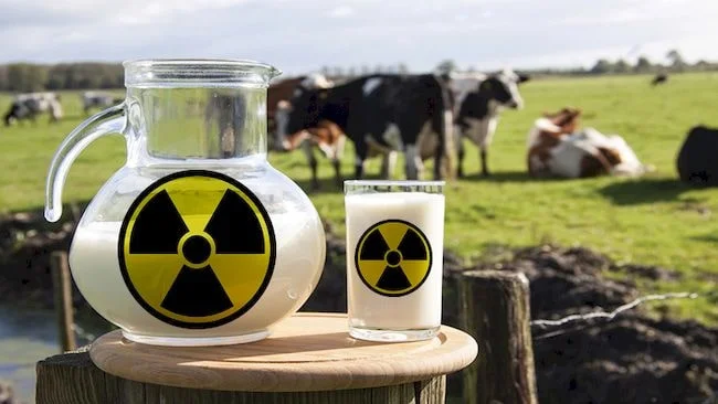 биохимия молока и молочных продуктов